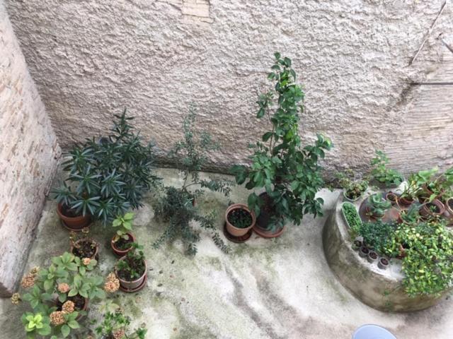 Appartamento L'Arco Romano Foligno Esterno foto